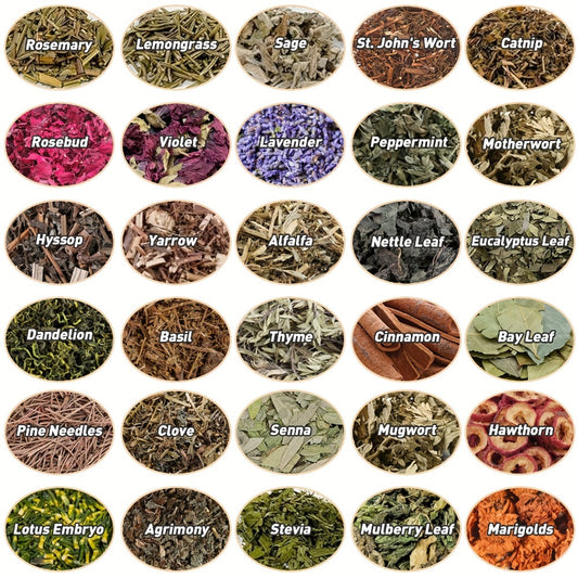 43-Piece Dried Herbs & Flowers Witch Ritual Kit – Sachet Supplies Set with Crystal Spoon, Black Feather & Bell for Pagan Spells, Candle Making, Soap, Wedding Decor