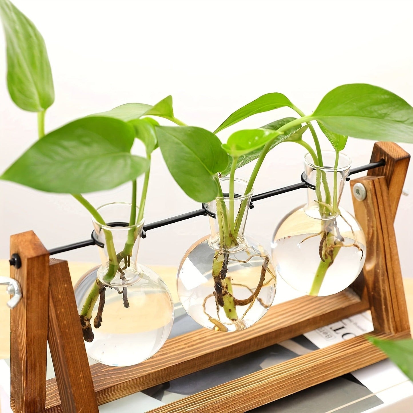 Three-Bulb Plant Propagation Station with Removable Glass Vases and 11-Inch Folding Wood Stand