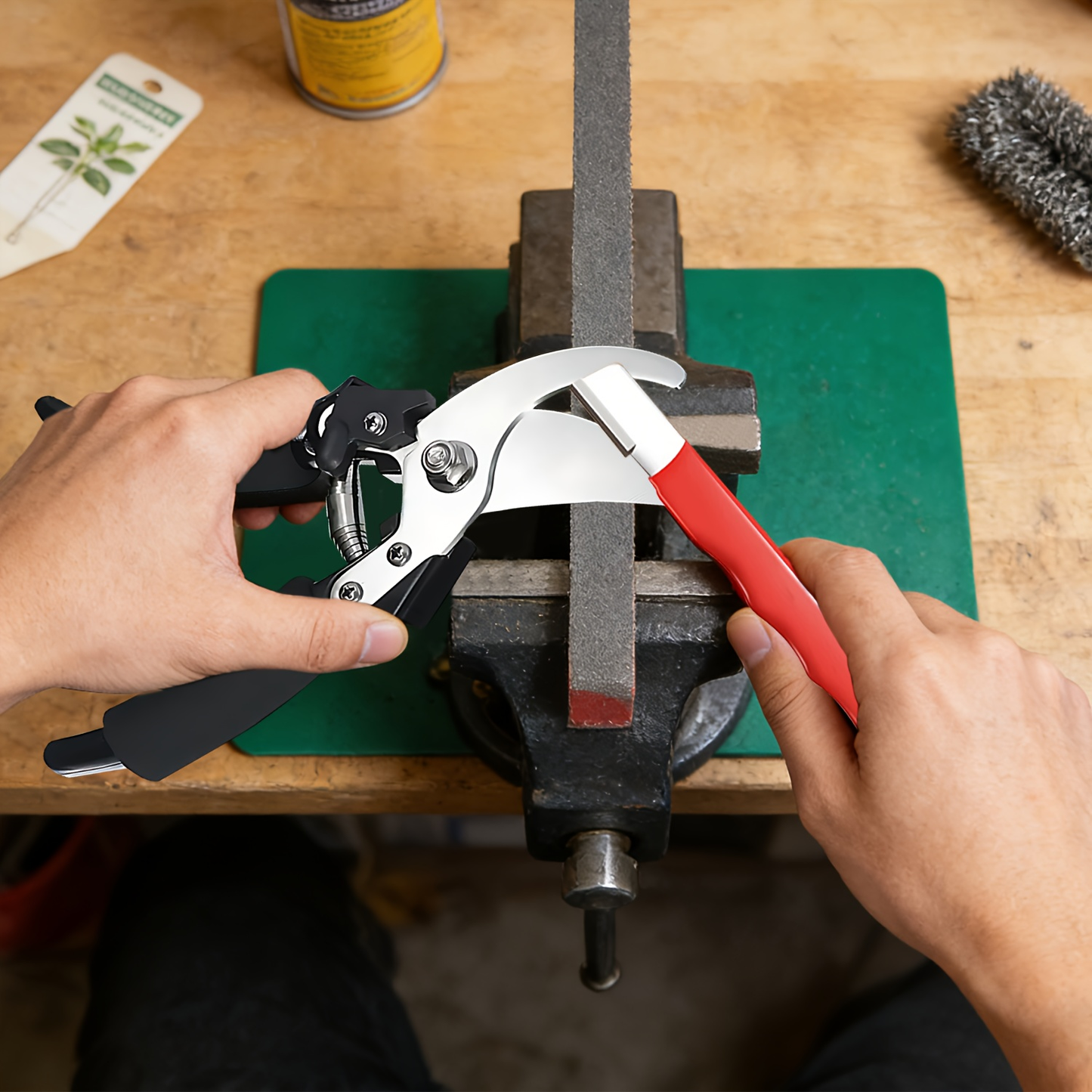 Stainless Steel Pruning Shears, 8.27 Inches with Sharpening Stone in One- or Two-Set Options