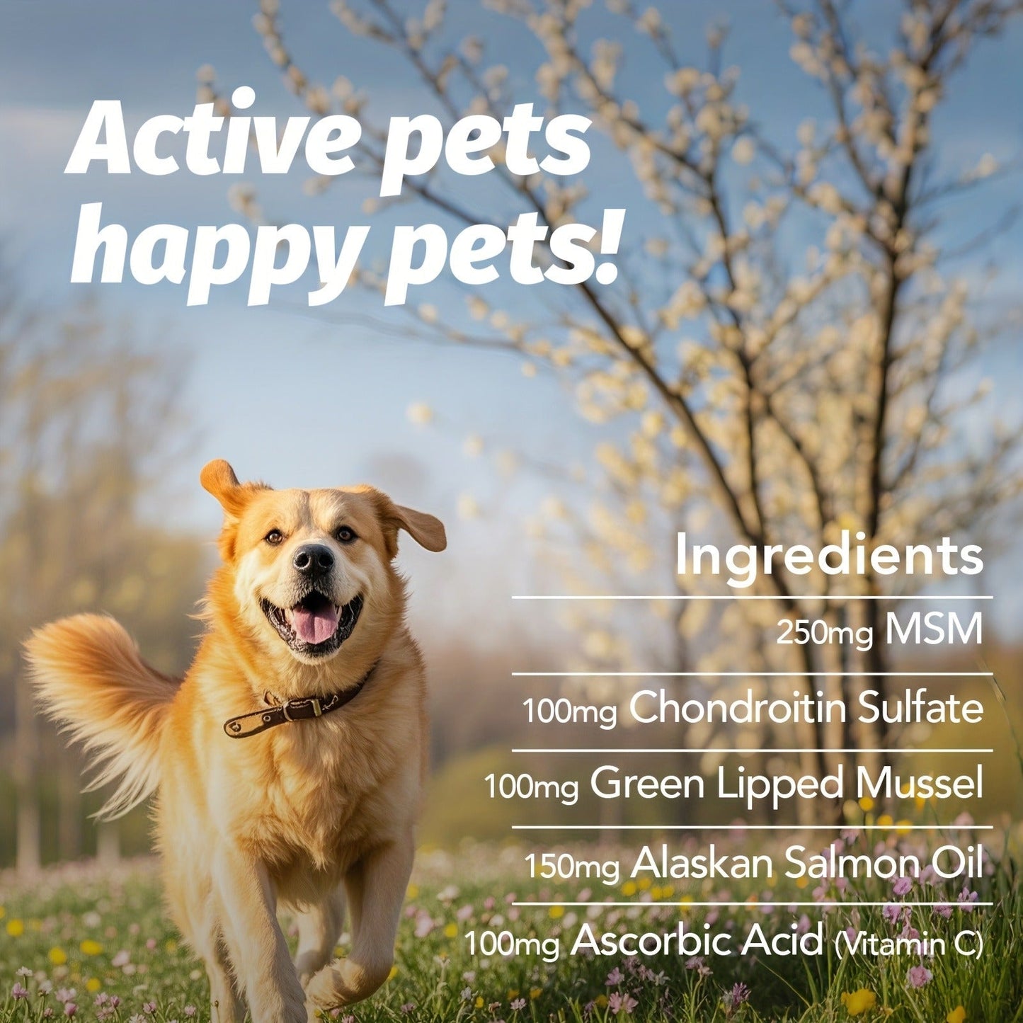 Hip & Joint Supplement for Dogs with Glucosamine & Chondroitin - MSM, Alaskan Salmon Oil Soft Chews for Mobility & Flexibility, Advanced Joint Care for All Breeds, Chicken Flavor, 90 Count