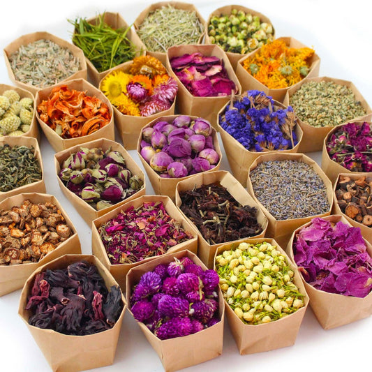 Dried Flowers Craft Set 24 Packs Natural Dried Botanicals for Resin Jewelry Making DIY Candle Soap Scrapbook Seasonal Decor Roses Lavender Jasmine Peony Forget-Me-Not Mixed Flower Kit