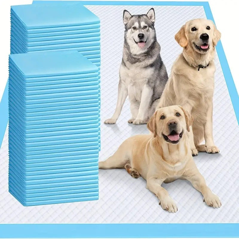 Dog Training Pads Disposable Bulk Packs, 23.62 x 23.62 Inches with 50, 125, 200 or 300-Pad Count Options