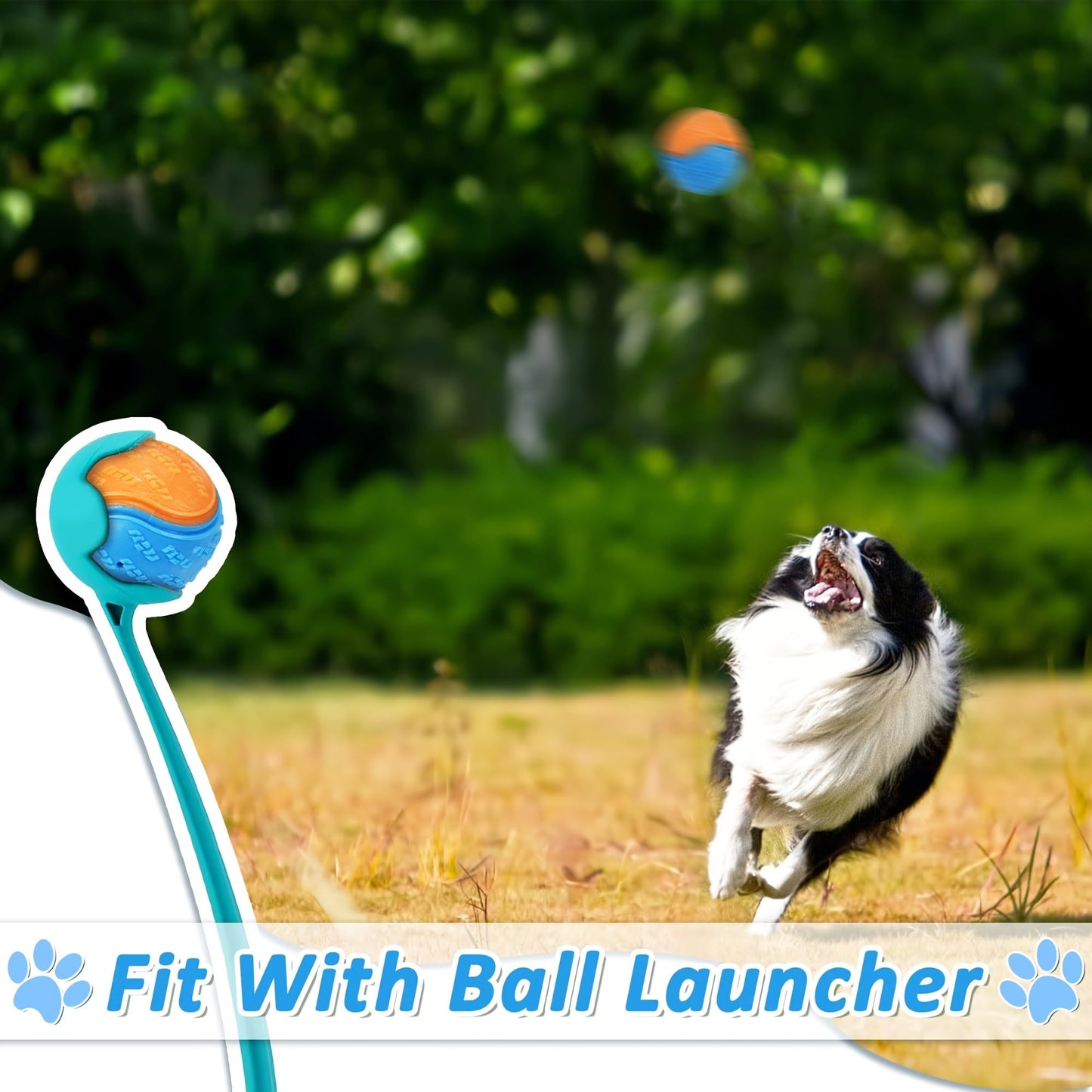 Dog Toy 6-Pack Squeaky High-Bounce Rubber Balls, 2.5-Inch Size and Standard Launcher Compatibility
