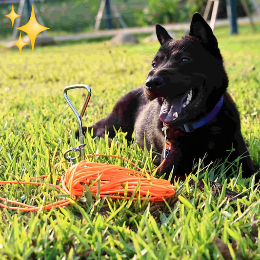 Dog Tie-Out Cable and Metal Stake 30ft – Heavy Duty Outdoor Dog Leash for Small Medium and Large Dogs Yard Camping