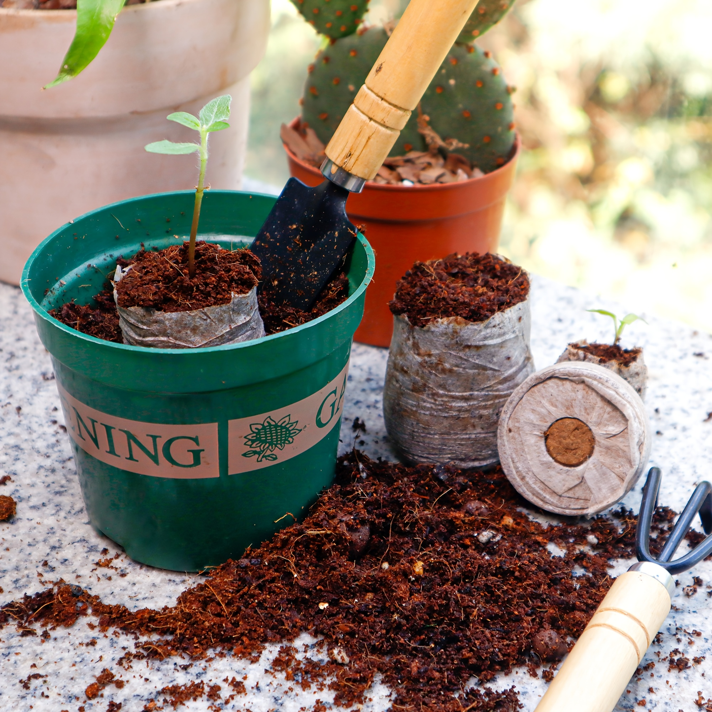 Compressed Seed Starter Pellet Set with Displayed 35 mm Discs in Protected 50-Piece or 100-Piece Options