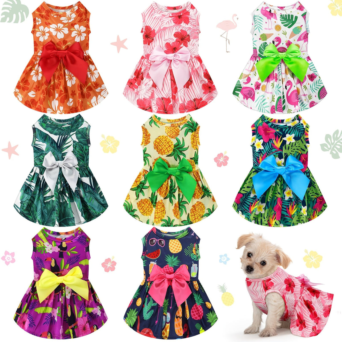 More Pet Essentials