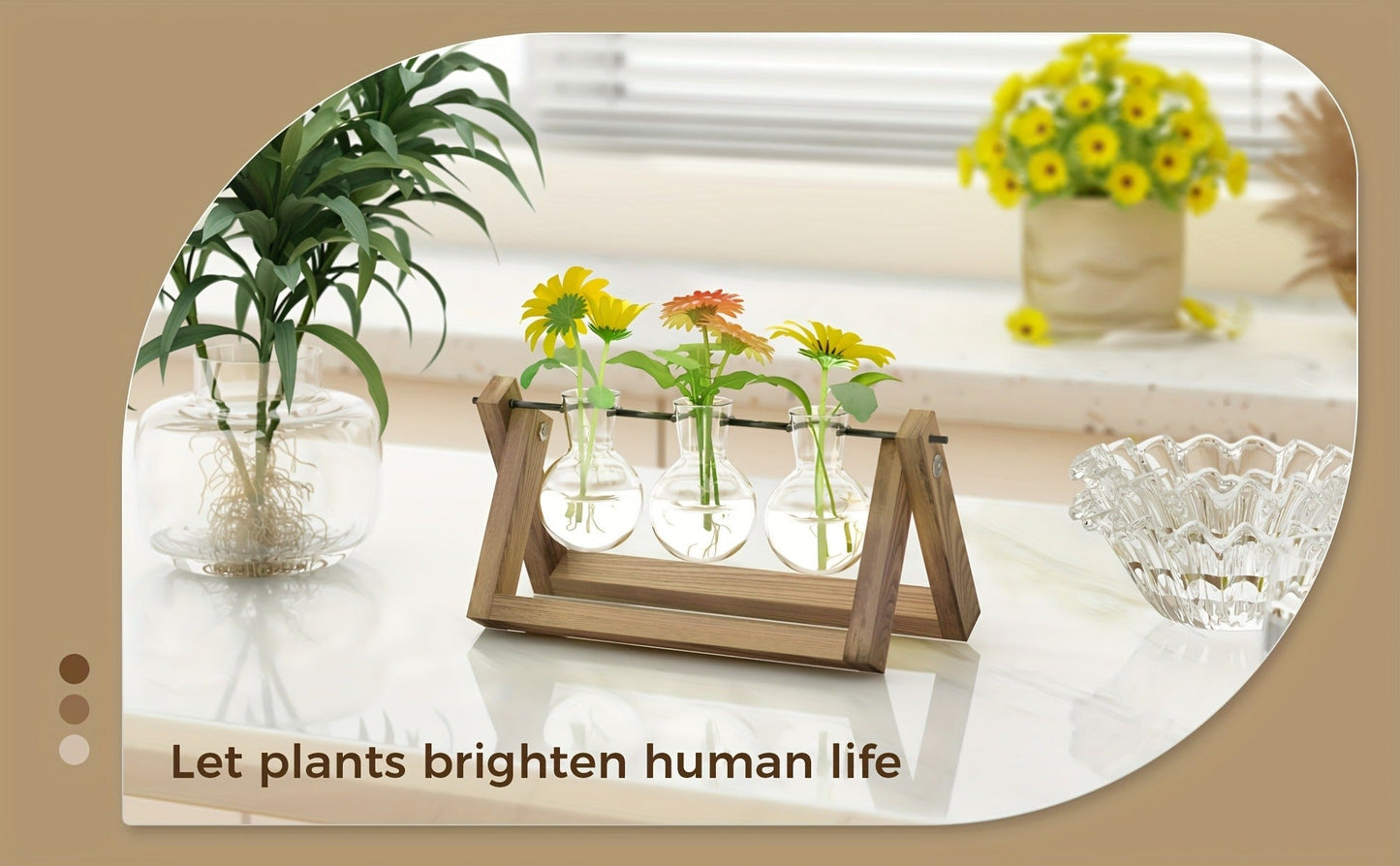 Heart-Shaped Glass Propagation Vase with Removable Bottle and 11-Inch Folding Wooden Display Stand