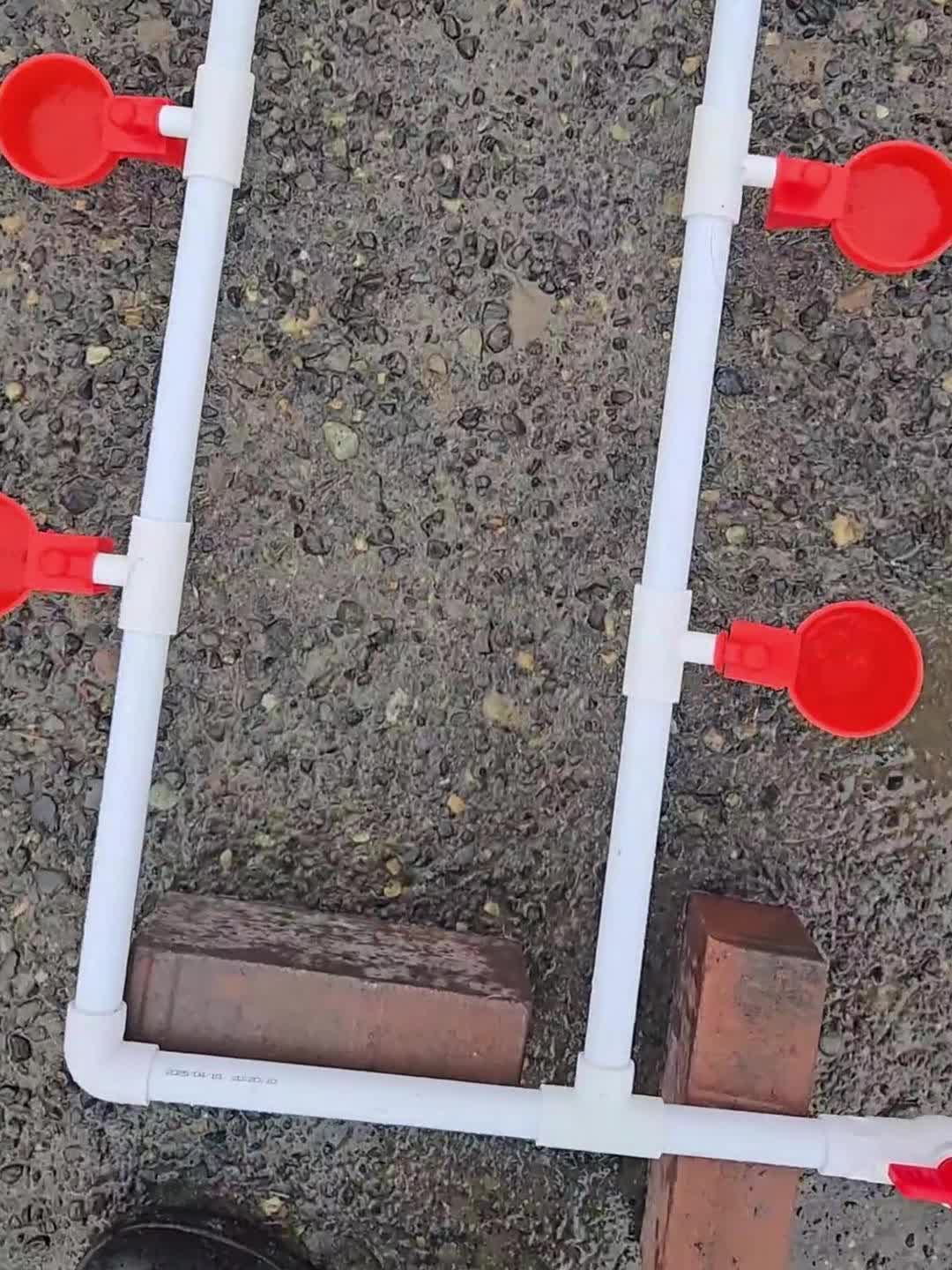 Automatic Poultry Watering System Kit with 10 Red Cups, PVC Pipe Fittings, Regulator and Hose Connections