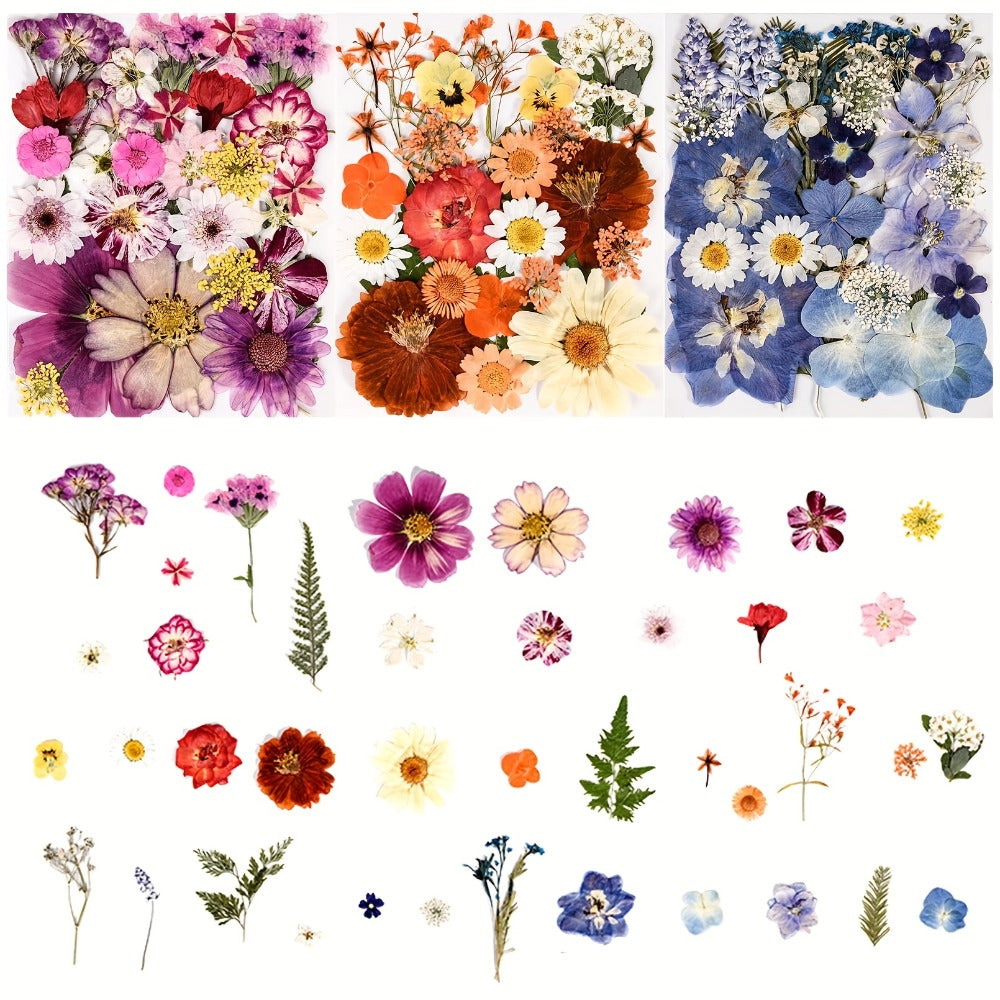 One Hundred Ten-Piece Pressed Flower and Leaf Assortment in Four Color-Themed Craft Packs Pictured