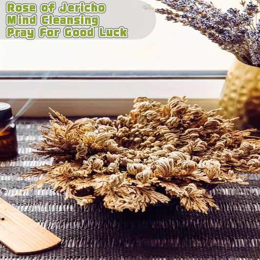 Rose of Jericho 20pcs - Selaginella Lepidophylla Dried Prayer Plants for Spiritual Purification, Home Decor & Luck - Sacred Resurrection Fern Gift Set