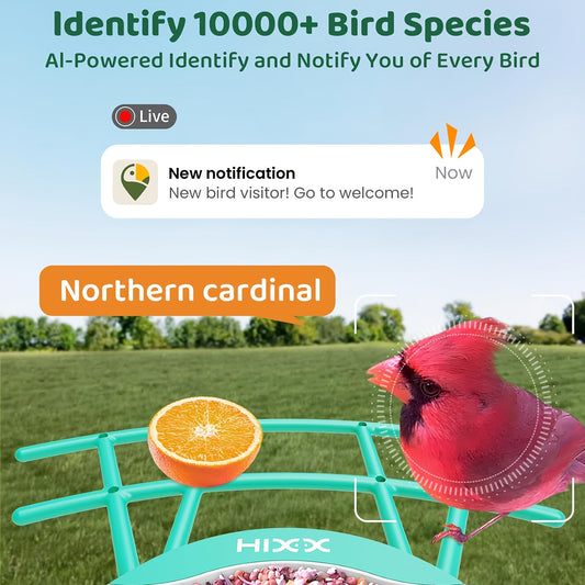 Smart Bird Feeder with Camera AI Bird Identification, 2K HD Live View, Auto Capture & Color Night Vision, Outdoor Wireless Bird Watching Gift for Bird Lovers, Green