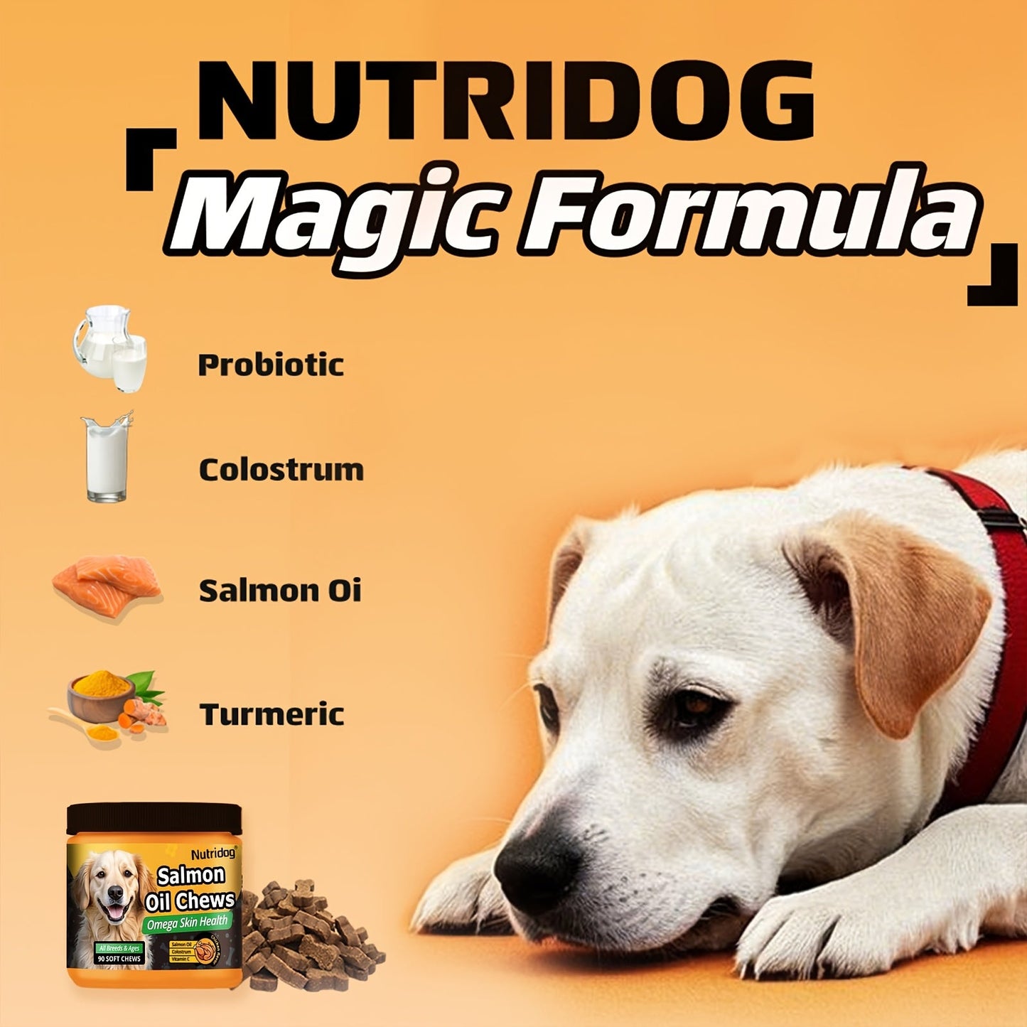 Dog Probiotic Chews with Salmon Oil – 90 Soft Chews for Coat & Gut Health | Chicken Flavor Nutritional Supplement for Dogs of All Ages, Sensitive Digestion & Immune Support