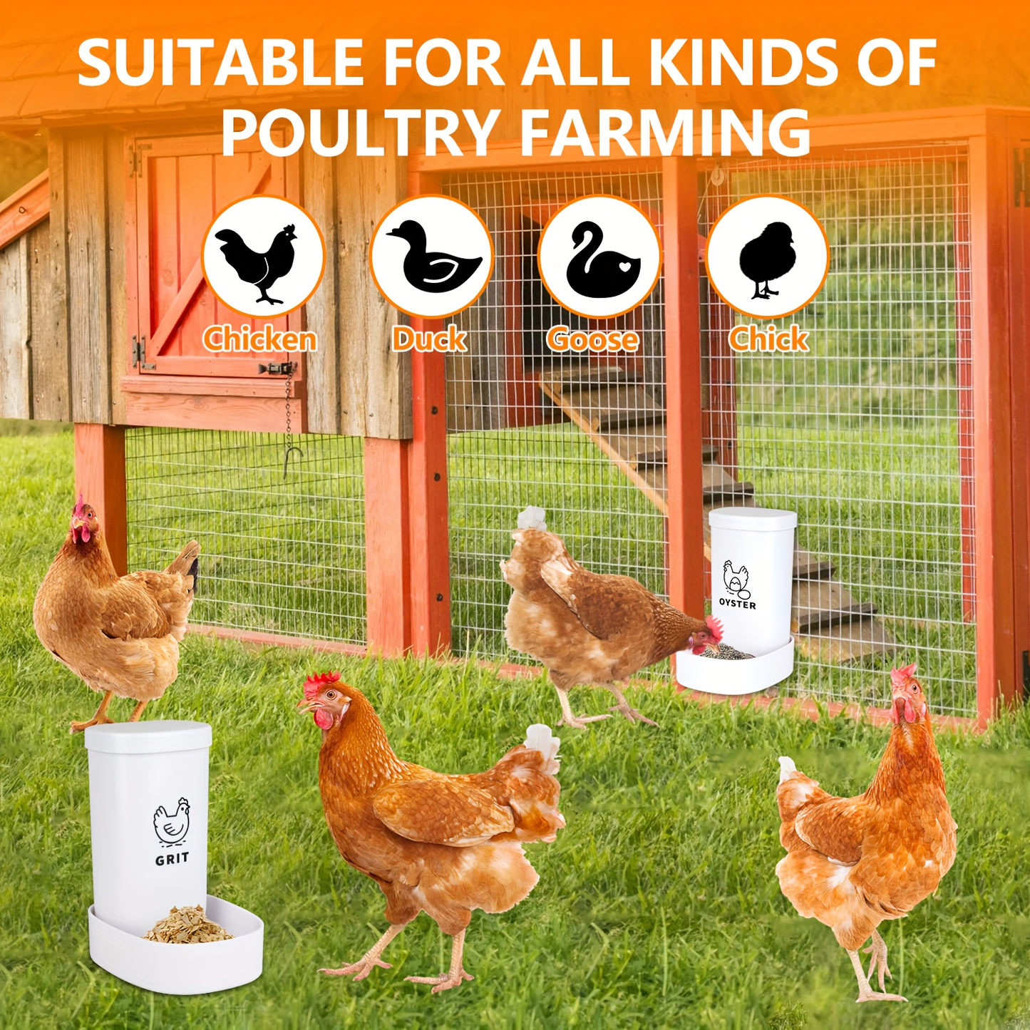 Two-Piece White Poultry Supplement Feeder Set with Separate Oyster Shell and Grit Containers