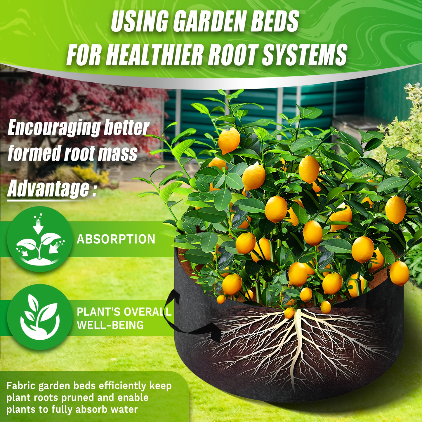 Round Divided Fabric Raised Grow Bed with Handles in 24-, 36-, 48- or 60-Inch Diameter Options