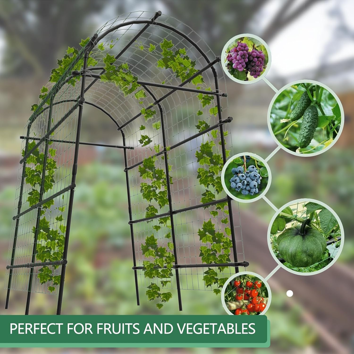 Steel Garden Trellis Arch 7ft PE-Coated Climbing Plants Vegetables
