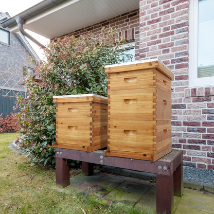 Langstroth Bee Hive Kit Wax Coated Wood 10-Frame 3-Layer Frames