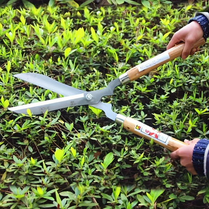 Carbon Steel Hedge Shears with 11-Inch Straight Blades and Paired Walnut Handles for Shrub Trimming