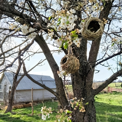 Two-Piece Woven Hanging Bird Nest Set with Round Openings and Optional Pair of Decorative Bird Figures