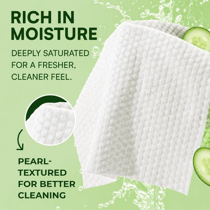 Adult Wet Wipes, Extra Large 8x13 Inch 240ct 4 Packs of 60 Aloe Vitamin E Cucumber Scent for Bath Time