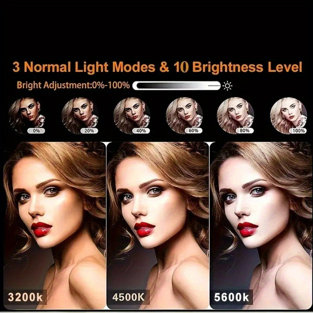 Ring Light 10 Inch with Tripod Stand & 2 Phone Clips – Dimmable LED Selfie Light for TikTok, YouTube, Makeup, Live Streaming, Video Calls, Photography & Home Studio Lighting Kit