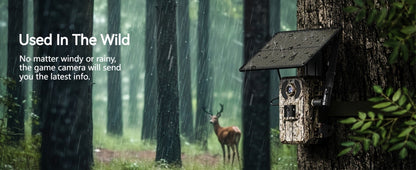 4G LTE Solar Trail Camera with App Alerts, Live View and Built-In SIM in One- to Four-Camera Packs