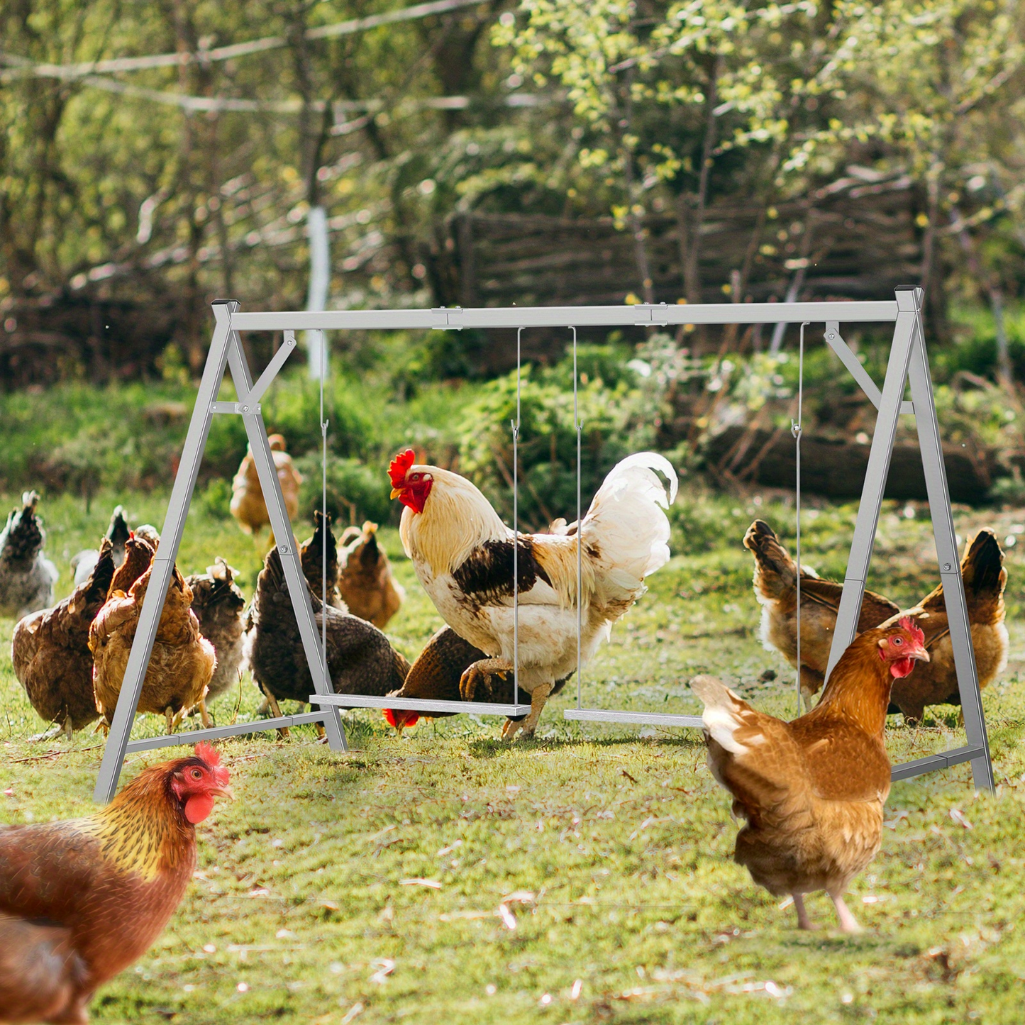 Chicken Swing Coop Toy Metal Perch for Backyard Hens Roosters Parrots Rabbits Promotes Exercise Balance Coordination Weather-Resistant Easy to Install Coop Accessory