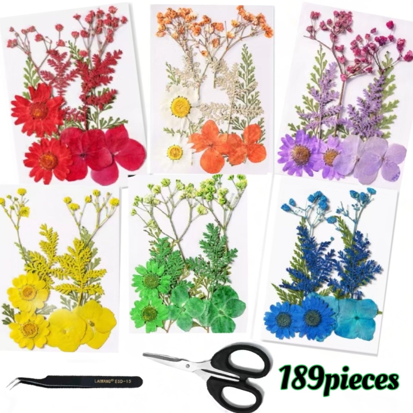 Pressed Flower Craft Set in 189, 238, 287 or 319-Piece Mixed Packs for Resin and Paper Projects