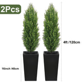 2pcs 4ft+black pots