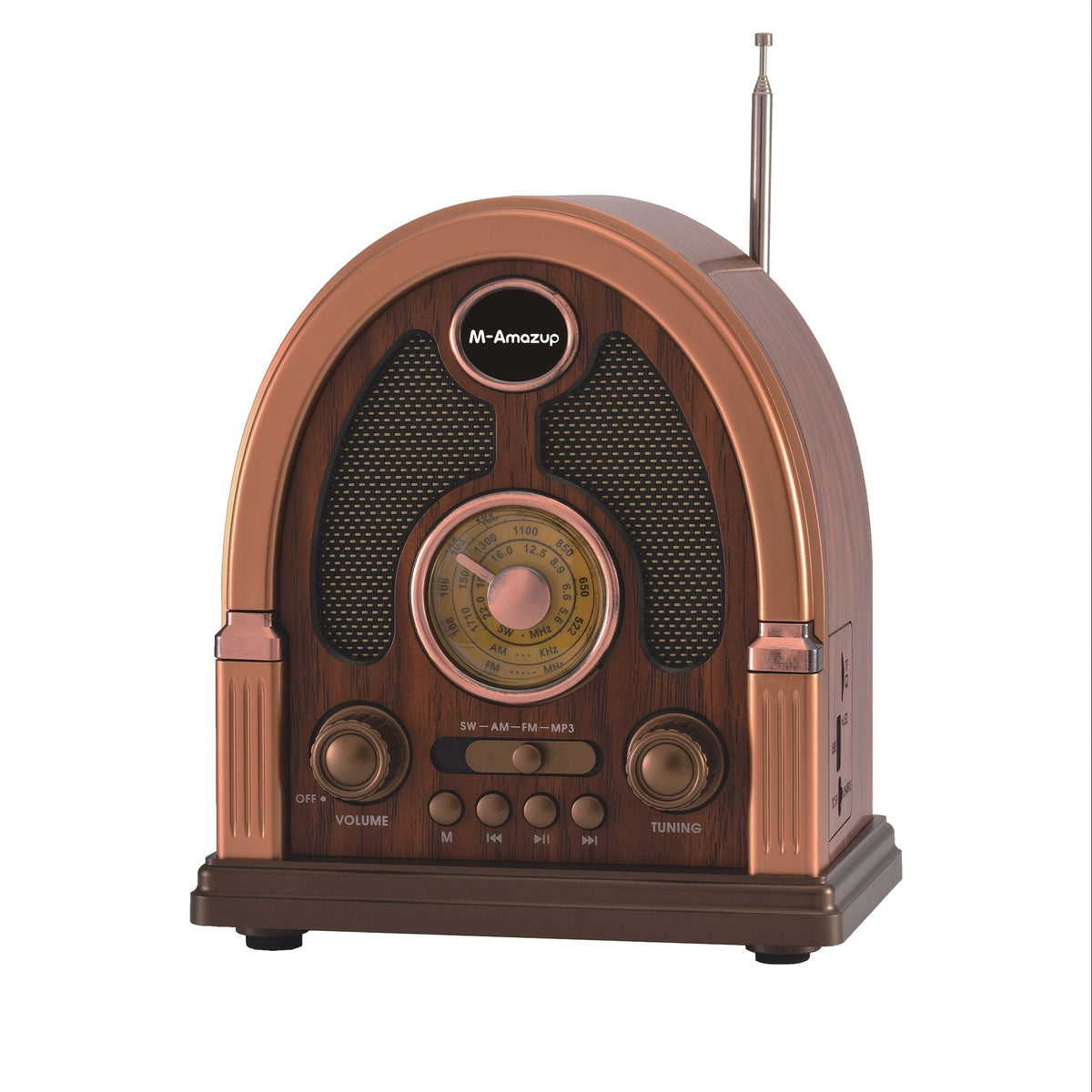 Portable AM FM SW Radio Bluetooth Speaker, Multi-Function Wireless Speaker with TF Card Player, Stereo Sound