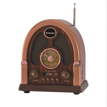 Portable AM FM SW Radio Bluetooth Speaker, Multi-Function Wireless Speaker with TF Card Player, Stereo Sound