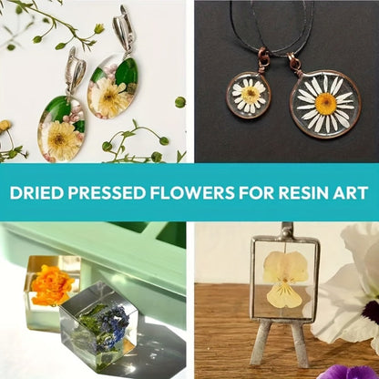 Pressed Flower Craft Set in 189, 238, 287 or 319-Piece Mixed Packs for Resin and Paper Projects