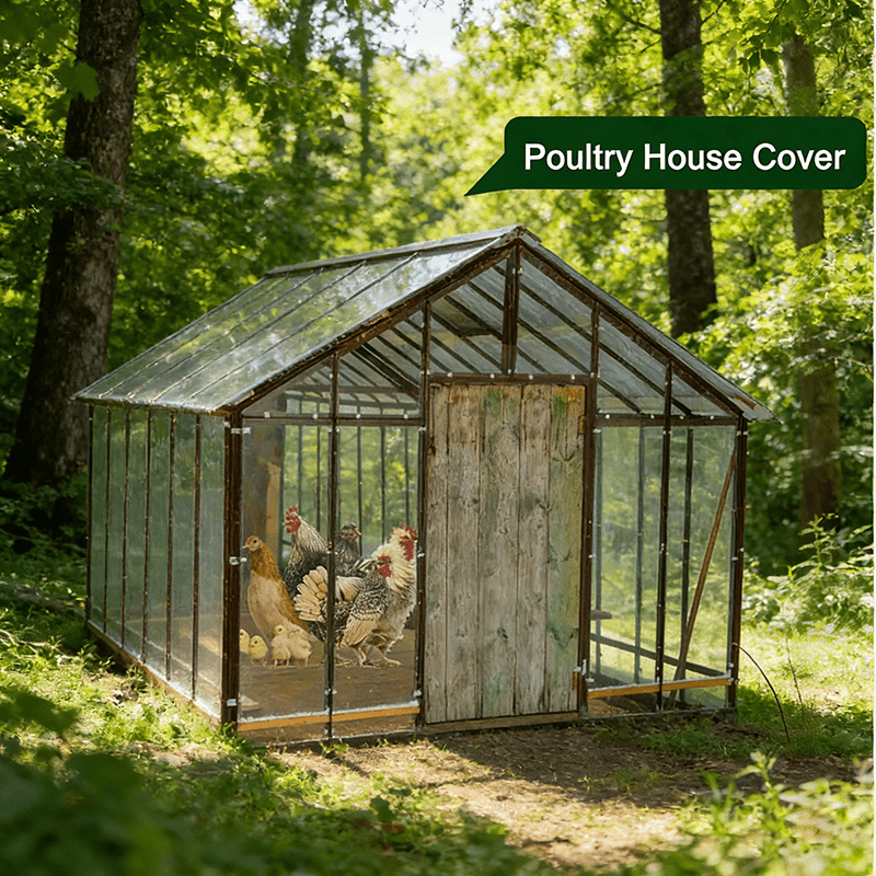 Clear Poultry House Cover Sheet in Four Protected Length Options with Reinforced Border and Metal Grommets