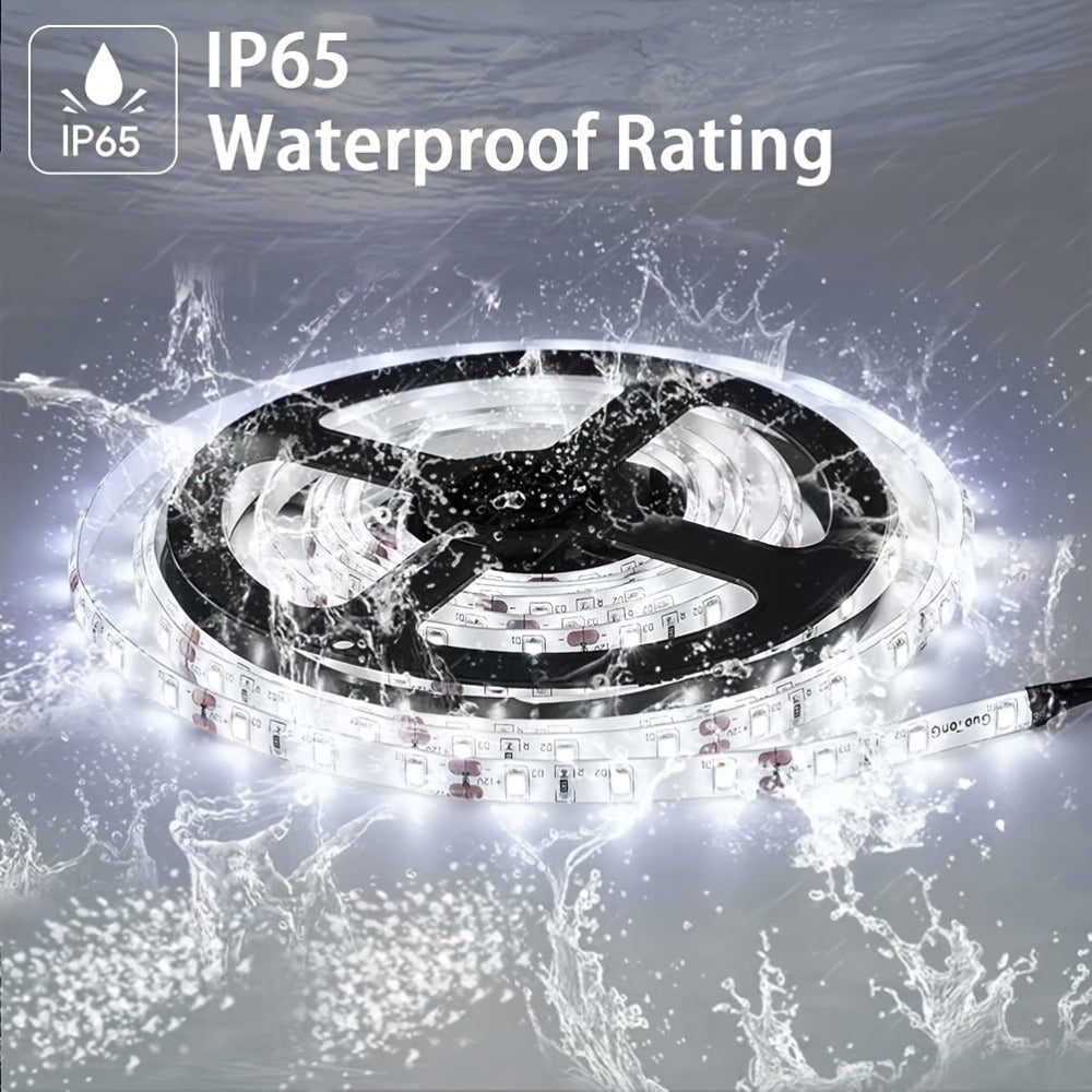 LED Strip Light 5m 2835 SMD with 600 LEDs, 12V Power, Inline Dimmer, White or Warm White and IP65 Label