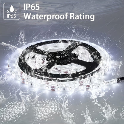 LED Strip Light 5m 2835 SMD with 600 LEDs, 12V Power, Inline Dimmer, White or Warm White and IP65 Label