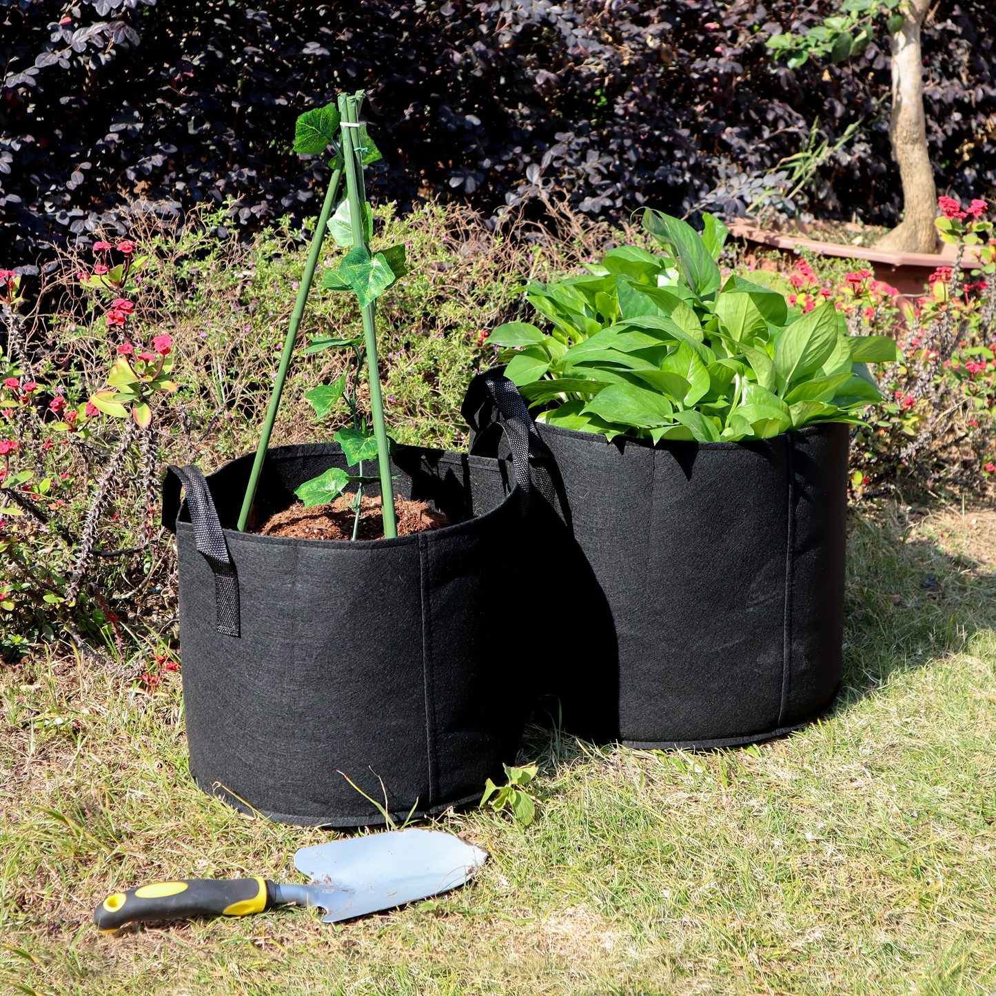 Plant Grow Bags 4-Pack with Handles | Breathable Fabric Planter 5 & 10 Gallon | Aeration Pots for Vegetables Tomatoes Herbs Flowers Indoor Outdoor Garden