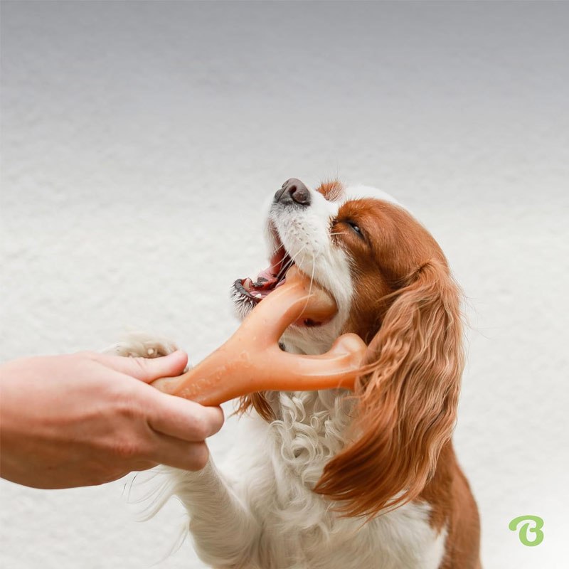 Dog Toy Bacon-Flavored Brown Chew Bone for Solo Chew and Interactive Play with Dogs or Cats