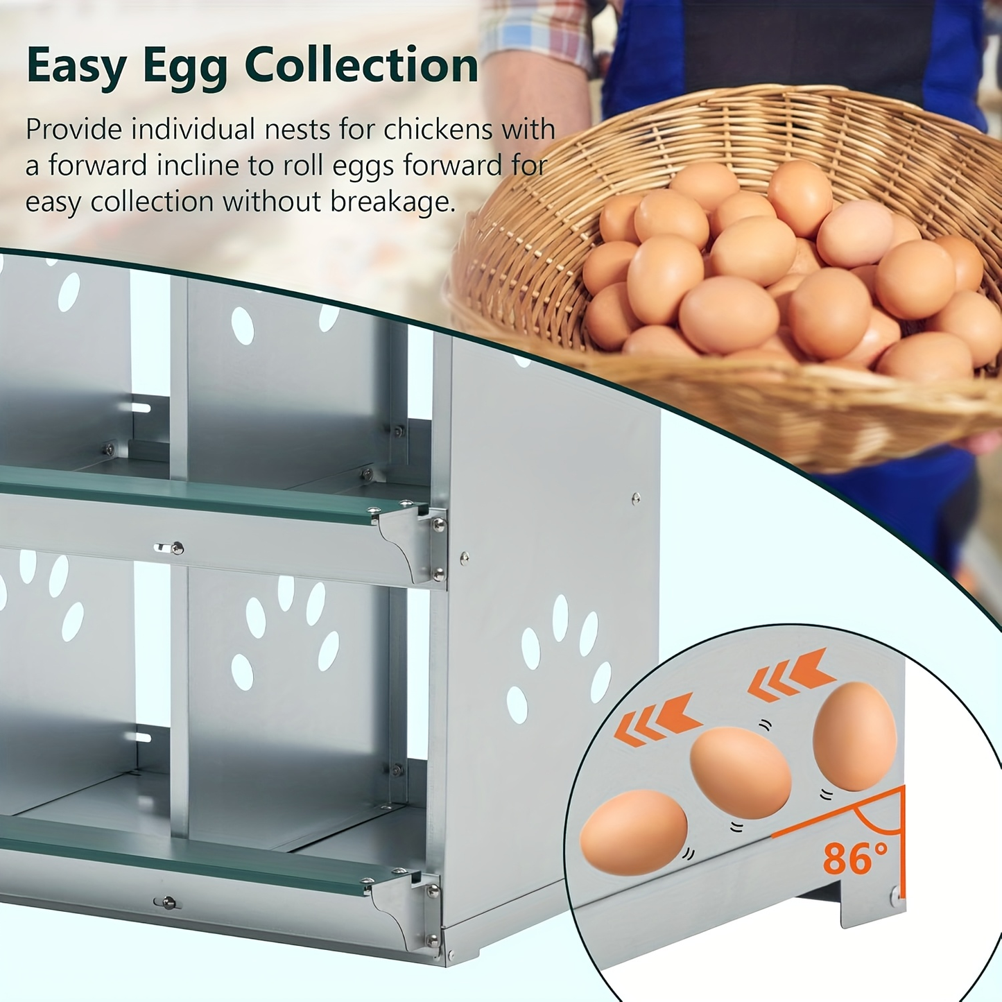 Metal Chicken Nesting Box Galvanized Steel 3-10 Compartment Roll-Away