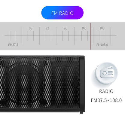 Detachable 21.65-Inch TV Soundbar with TF, AUX, USB and RCA Inputs, FM Radio and Black Finish