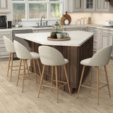 Beige Fabric - Set Of 4