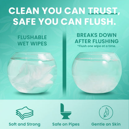 Extra-Large Unscented Adult Wet Wipes in 150 or 300 Count Packs for Bathroom, Camping and Travel Hygiene
