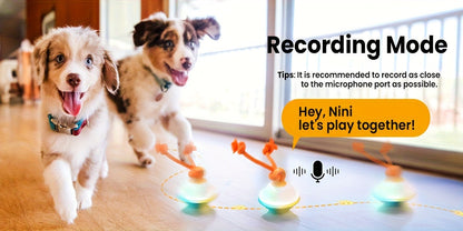 Dog Toy Motion-Activated Auto-Rolling Ball with Voice Recording, Rope and White or Gray Options