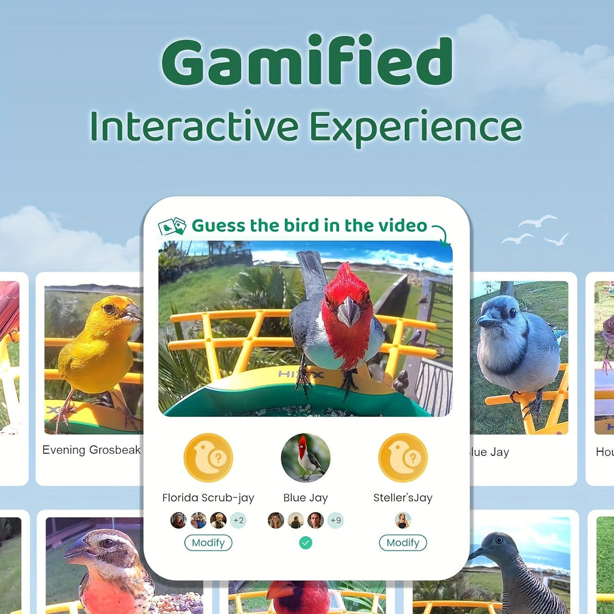 Smart Bird Feeder, Camera AI Bird Identification, 2K HD Live View, Auto Capture & Color Night Vision