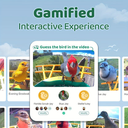 Smart Bird Feeder, Camera AI Bird Identification, 2K HD Live View, Auto Capture & Color Night Vision