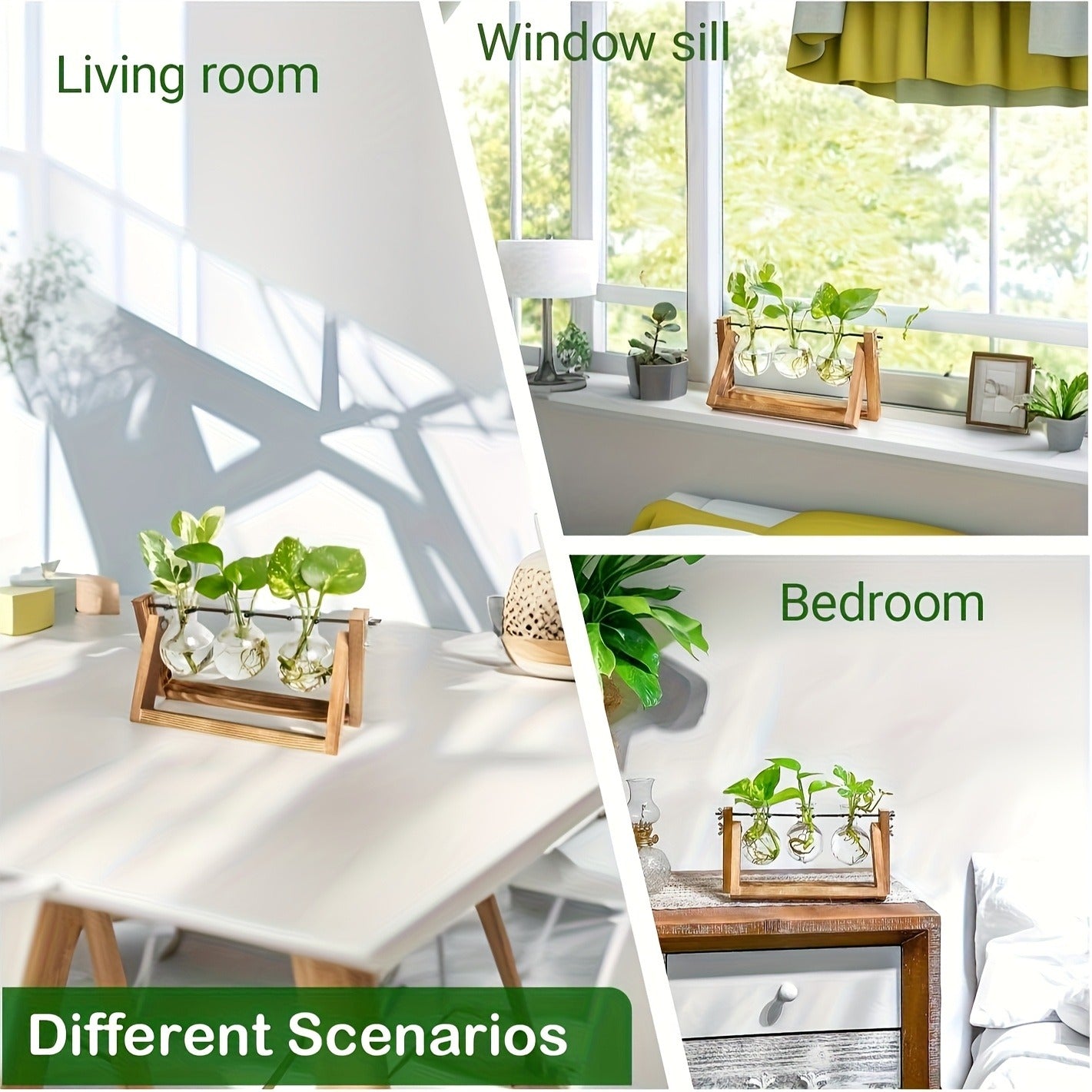Three-Bulb Plant Propagation Station with Removable Glass Vases and 11-Inch Folding Wood Stand