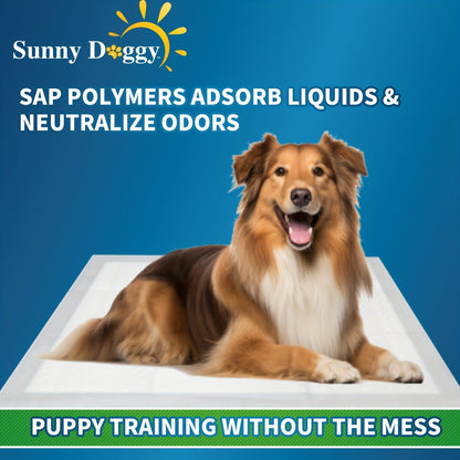 Disposable Dog Pee Pads for Puppy Training - Super Absorbent Leak-Proof Potty Pads with Odor Control, Housebreaking Training Pads for Dogs, 80/100/240 Count, 22"x22" 30"x36" 36"x36"