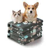 Grey Paw2