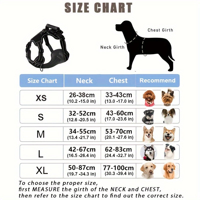 Walking Dog Harness and 5-Foot Leash Set in Five Colors and XS–XL with Front Clip, Top Clip and Handle