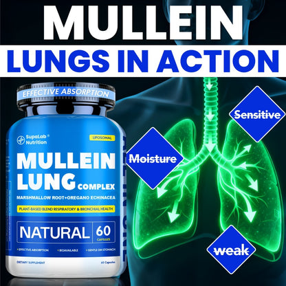 Mullein Leaf Capsules 12000mg with Quercetin — Lung Health & Respiratory Support | Bronchial Breathing Ease, Immune Defense & Seasonal Allergy Comfort | Natural Herbal Formula | 60 Capsules