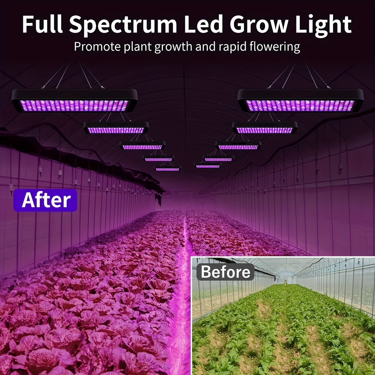 LED Grow Light 1000W Full Spectrum – Dual-Switch Plant Light for Veg & Bloom, Hydroponic Hanging Grow Lamp for Indoor Greenhouse, Vegetables, Flowers & Seedlings, Plug & Play