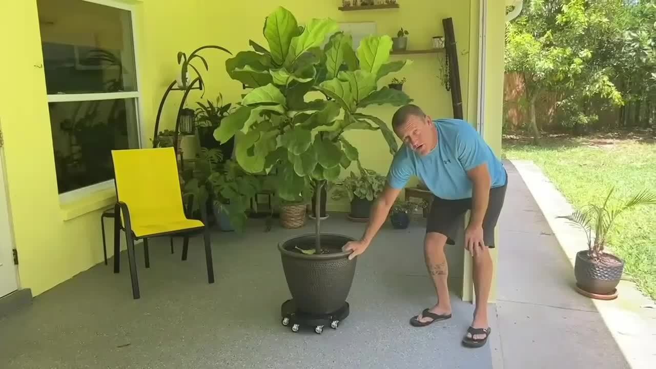 Adjustable Round Black Plant Caddy with Eight Lockable Casters for 8 to 22-Inch Pots and Containers